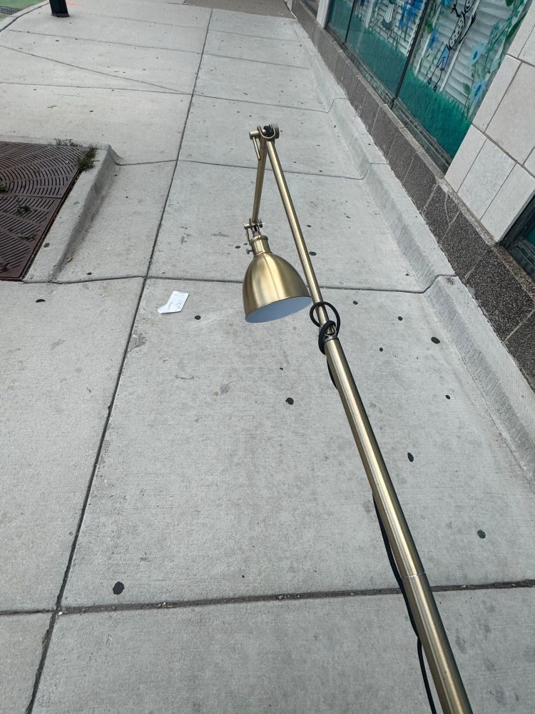 photo of a brass floor lamp being carried home 