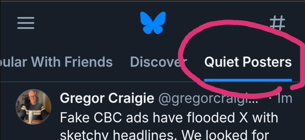 A screen capture of the bluesky platform showing a few feed headers, including "Quiet Posters" circled in pink.