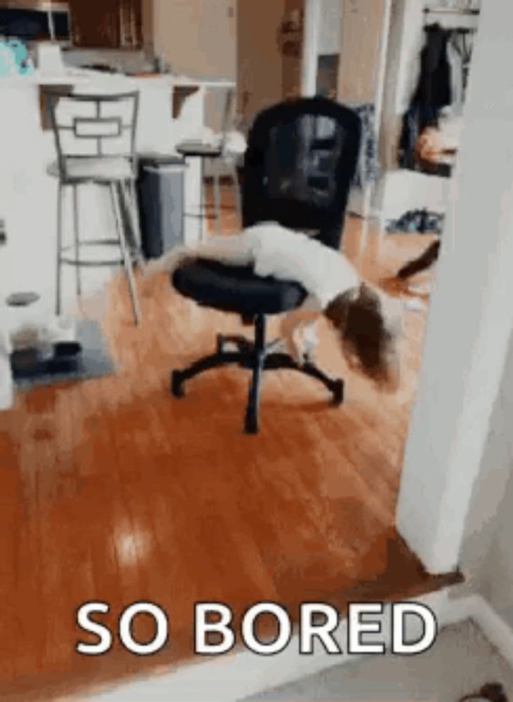 a dog is laying on top of an office chair with the words `` so bored '' written below it .