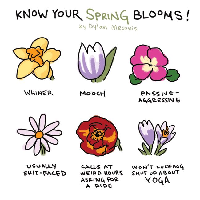 KNOW YOUR SPRING BLOOMS!
by Dylan Meconis

Six drawings of common spring flowers, with the captions:

WHINER
MOOCH
PASSIVE - AGGRESSIVE
USUALLY SHIT-FACED
CALLS AT WEIRD HOURS ASKING FOR A RIDE
WON'T FUCKING SHUT UP ABOUT YOGA