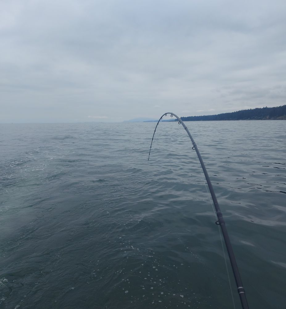 This is exactly how many other boats I like to see fishing around me this time of year.

Unless there is a big school of Pinks or Coho traveling through an area it certainly lowers your odds of hooking up if there are 30 other boats to compete with.