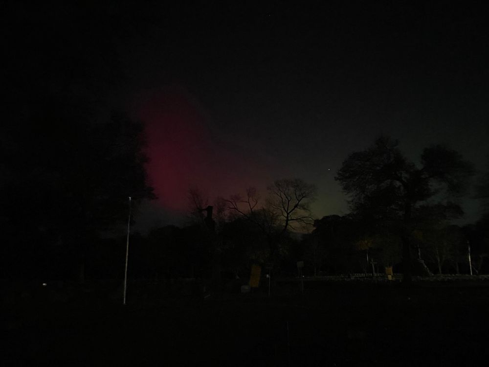 A dark photo of aurora and trees, from the same location as the previous photo but fainter and darker but still distinct.