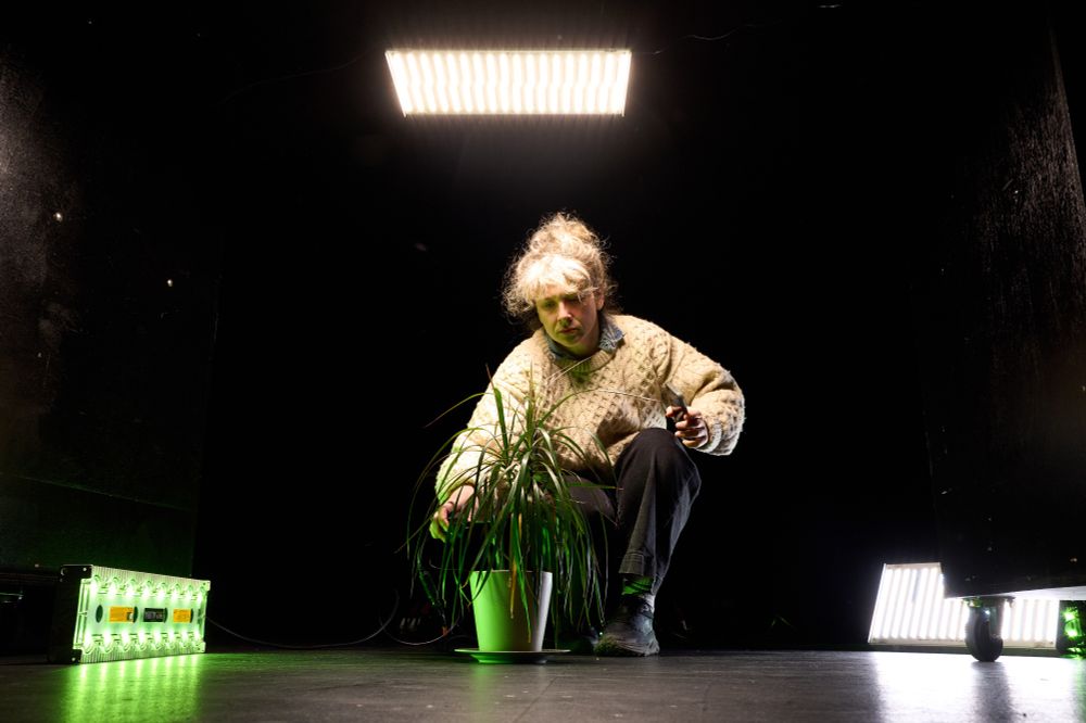 Sophie Maguire adjusts a potted plant lit from three sides by special lighting equipment.