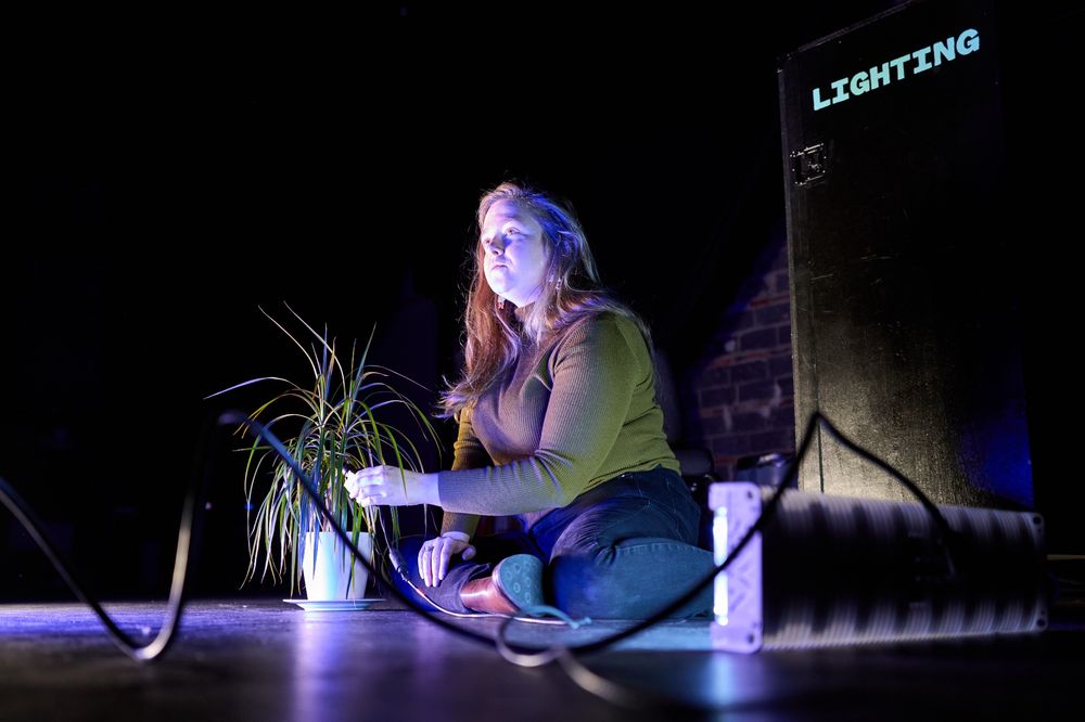 Helen Garcia-Alton experiments with a miniature networked camera placed inside a potted plant and illuminated by special lighting. A road box labeled "LIGHTING" is in the background.