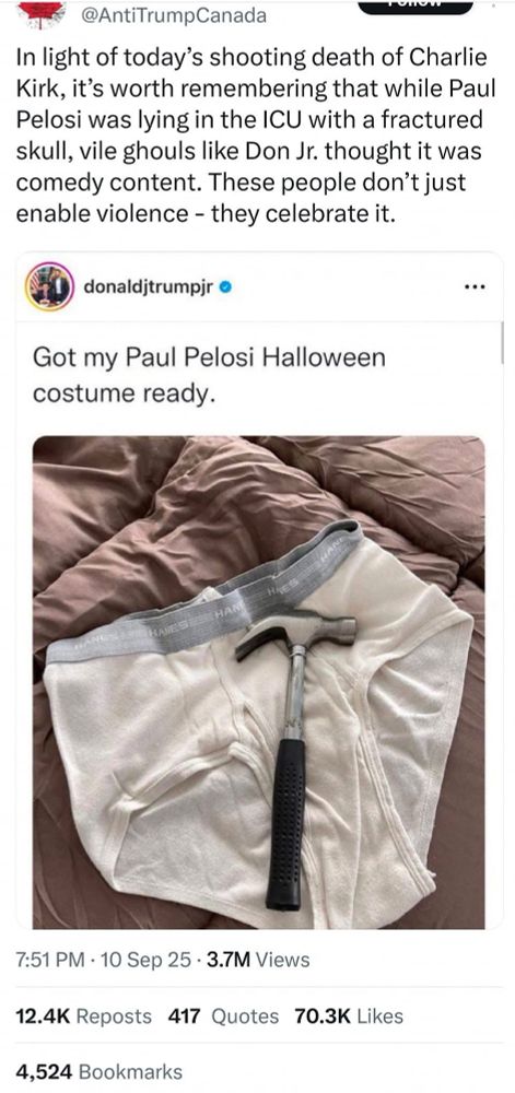 Don Jr. tweet of an imagine of a hammer laying over tightly whities with the caption: got my Paul Pelosi Halloween costume ready. The date is while Pelosi was in hospital after his politically motivated attempted murder. 