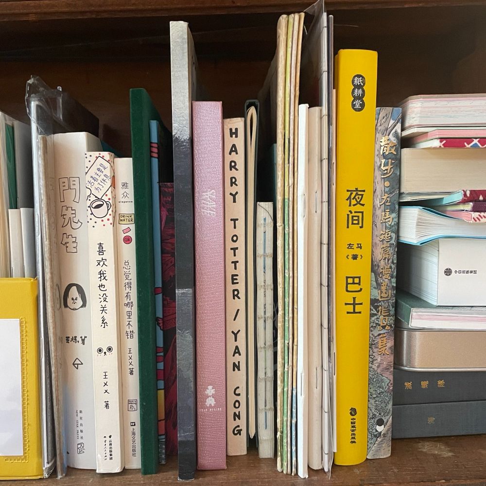 A photo of a wooden bookshelf full volumes from China. Two books by Wang XX are visible, as well as Mr Men by Anusman and books by Yan Cong and Zuo Ma.