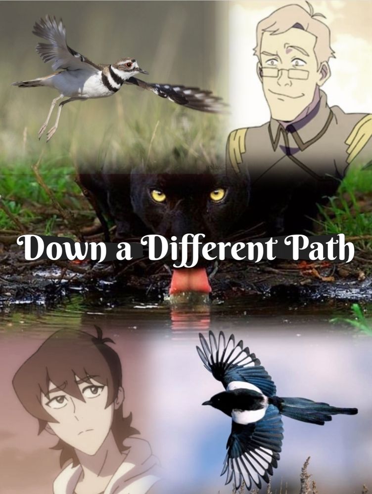 Picture for my fic Down a Different Path. Five pictures in one with previous title in the middle. Upper left corner has a flying killdeer bird, upper right has a grinning Sam Holt, middle has a black jaguar drinking from water, lower left is a younger Keith from pre-kerb flashbacks, and lower right has a flying black-billed magpie.