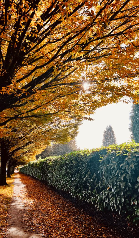 Seattle autumn on a sunny day.