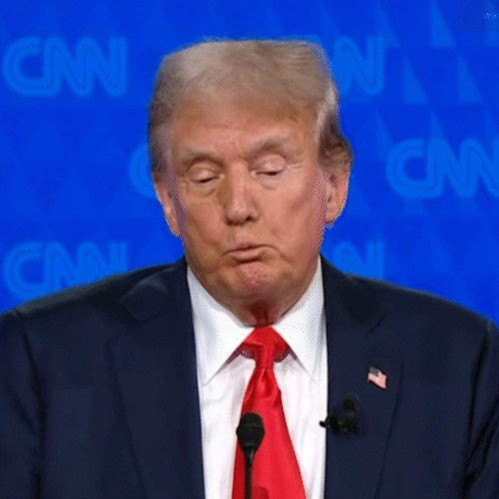 donald trump is wearing a suit and tie and is speaking into a microphone