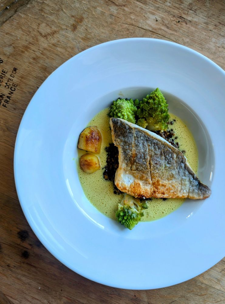 Goldbrassefilet mit Haut, glasiertem Romanesco, sautierten Erdäpfeln, Belugalinsen und einer Krensauce. Serviert in einem großen, weißen und tiefen Pastateller.
