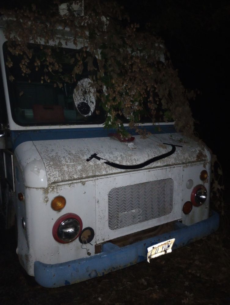 A photo at night of the front of a decrepit Ice cream truck with a smiley face on the hood abandoned in the forest. Dead leaves drape over the windshield.