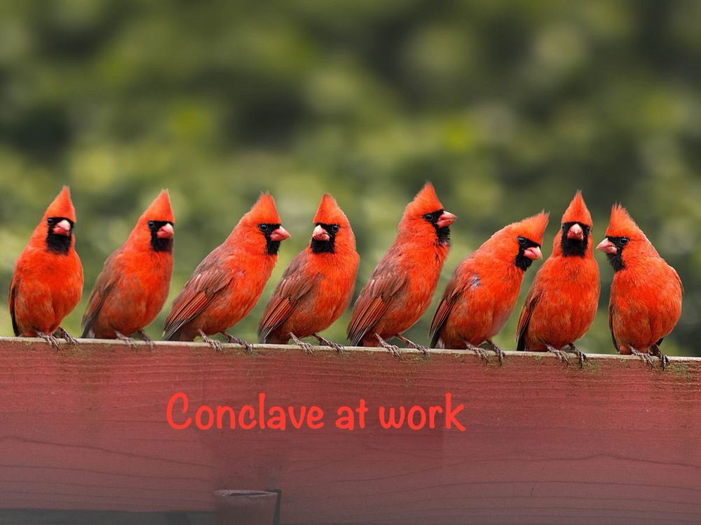 Comment image