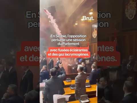 En Serbie, l’opposition perturbe une session du Parlement avec fusées éclairantes et gaz lacrymogène