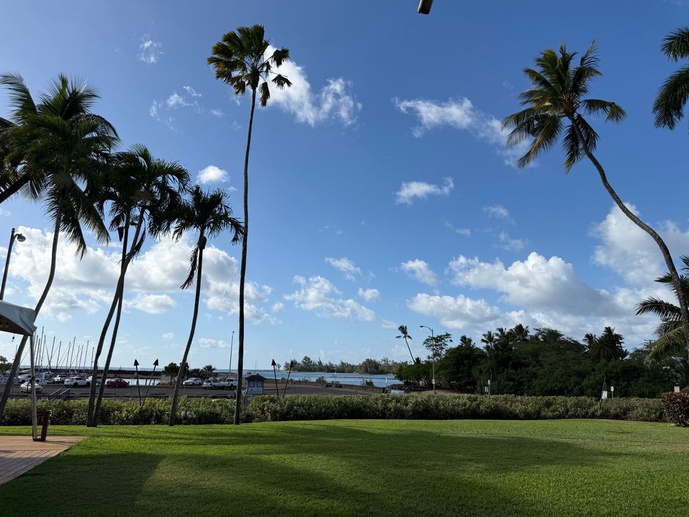 Looking out from Haleiwa Joes, Haleiwa, Oahu, Hi
