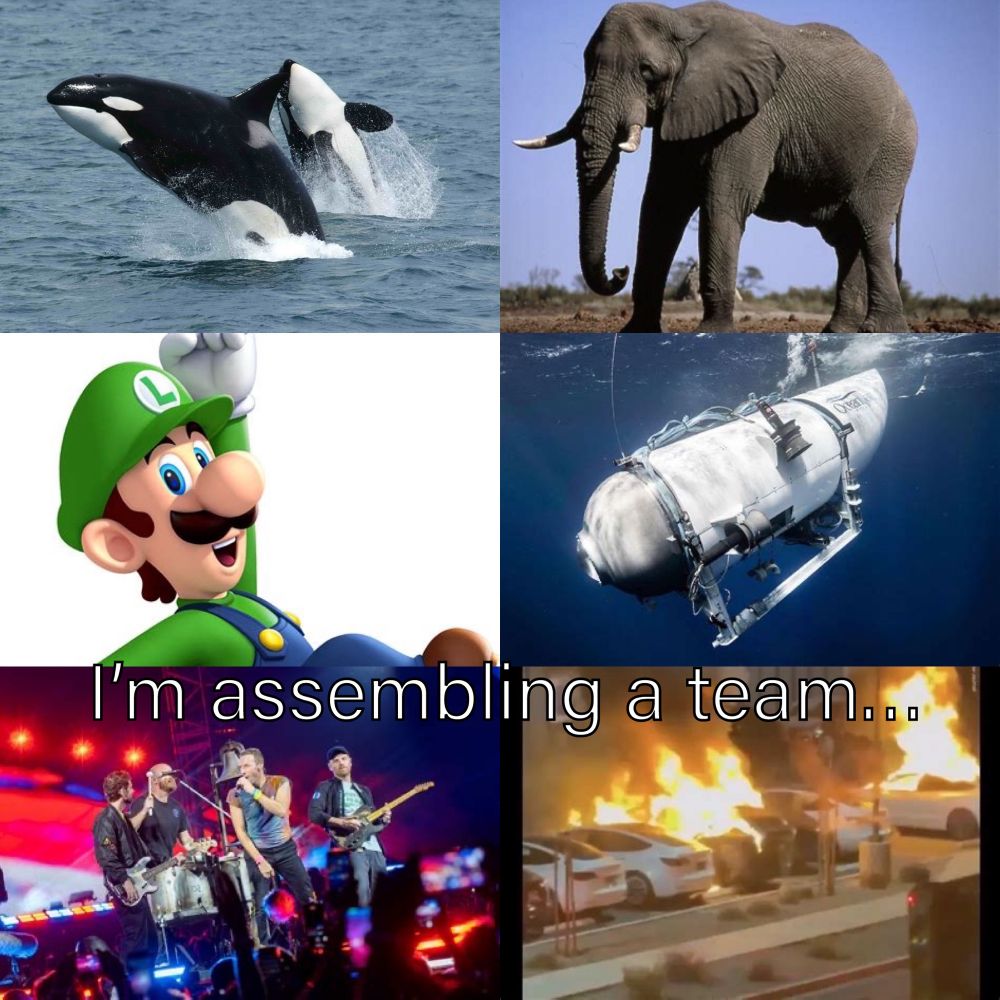 Six images: an orca, an elephant, Luigi, the OceanGate submersible, the band Coldplay and a row of burning Teslas with the caption ‘I’m assembling a team…