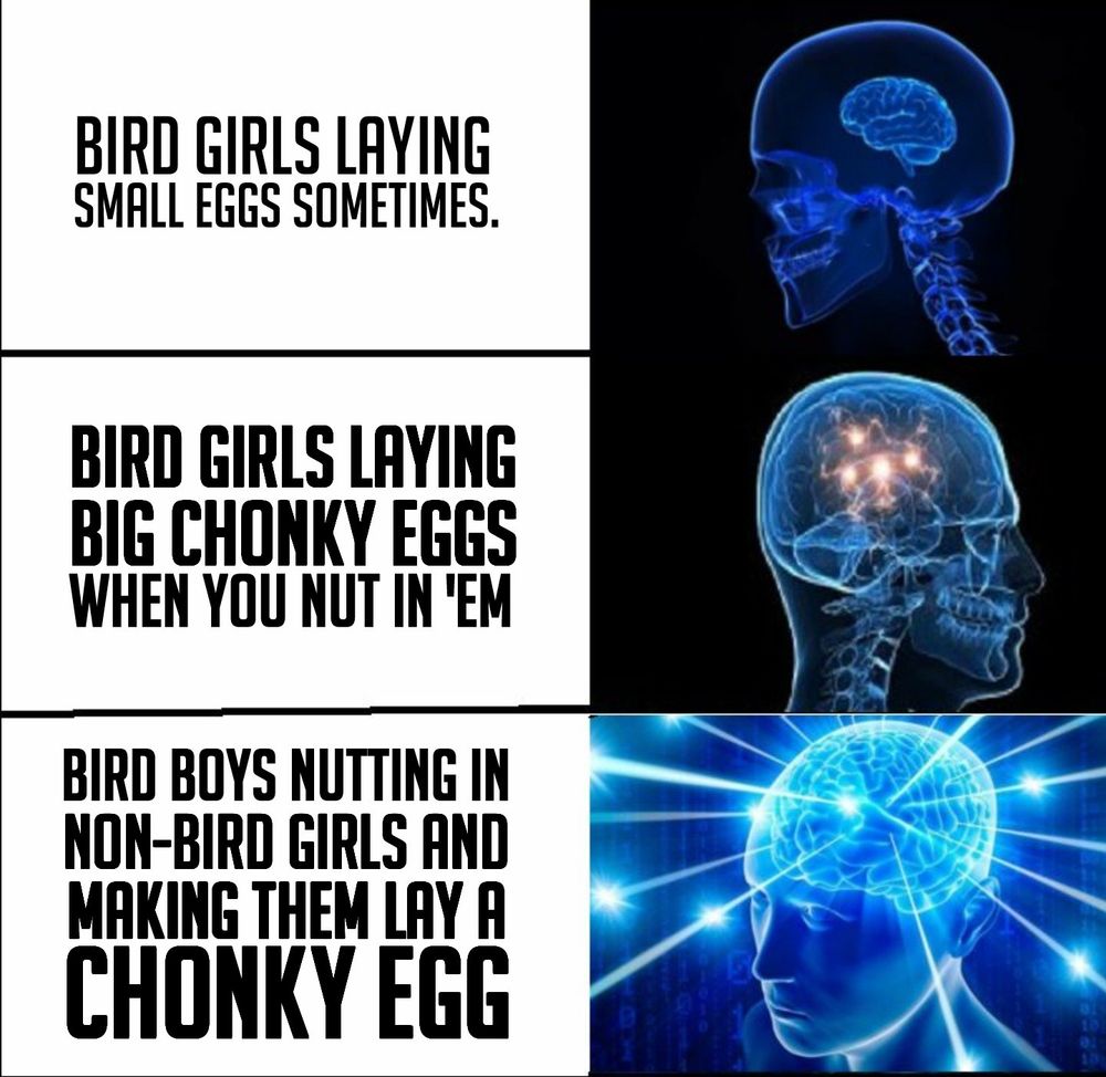 Comment image