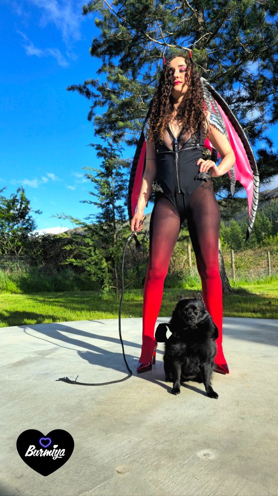 Burmiya Lupa cosplaying as a succubus with her Batdog Schipperke Violet. Wings, whips, Christian Louboutins, armor, crown horn, body suit, ombre stockings. Pet cosplay, bat wings. 