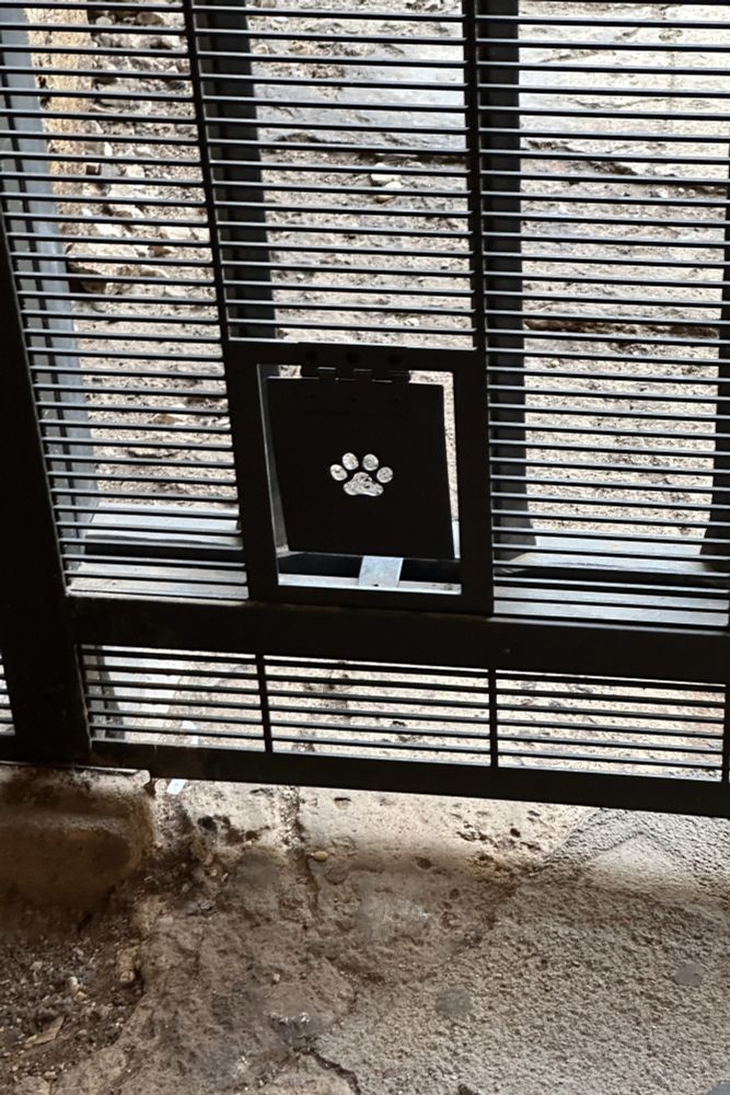 The Colosseum cat flap.