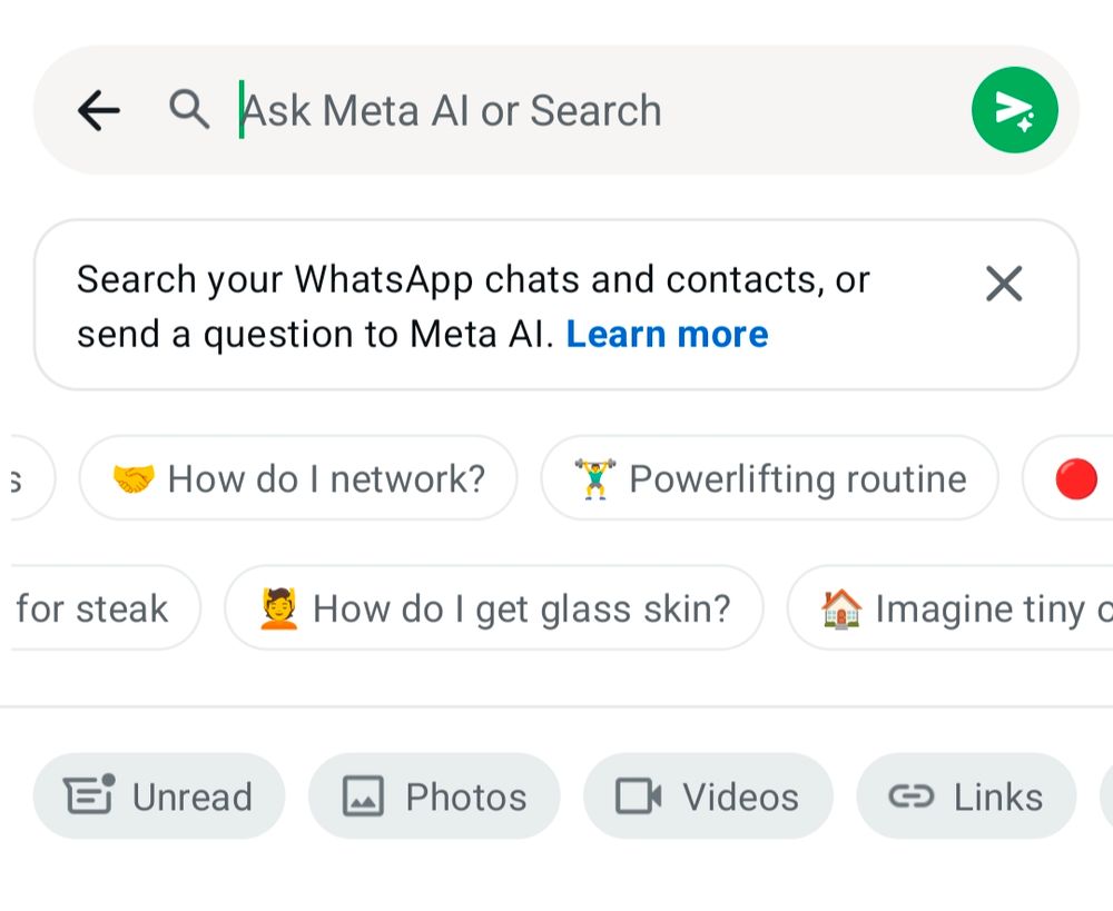 Zuckerberg has poisoned the WhatsApp app with a Search bar entitled Ask Meta AI or Search. This is a screenshot of this search bar. Underneath it says "Search your WhatsApp chats and contacts, or send a question to Meta AI."

It then gives me some suggested questions I could ask Meta AI, including "How do I network?" "Powerlifting routine" and "How do I get glass skin" whatever the fuck that even means.

WHY IS EVERYONE HELL BENT ON MAKING EVERYTHING WORSE!