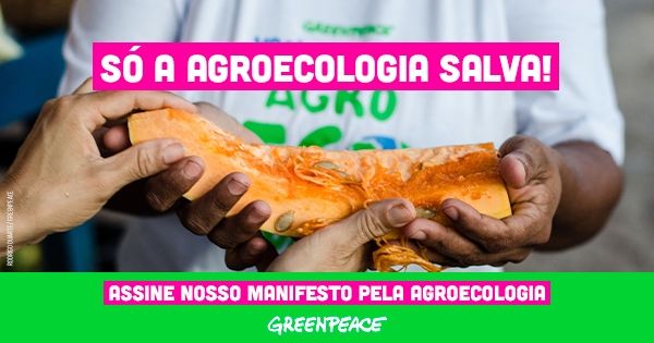 Manifesto pela agroecologia - Greenpeace Brasil