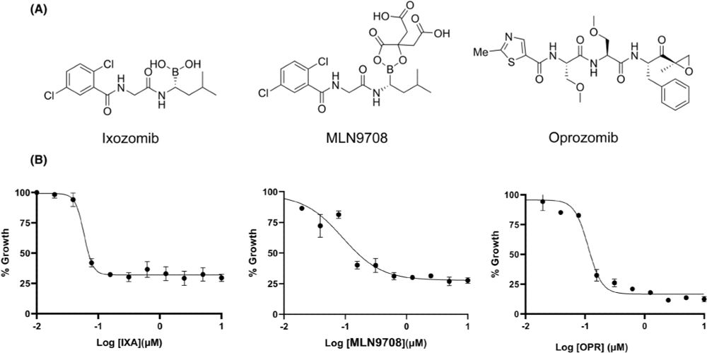 (A) Chemical structures of proteasome inhibitors including ixazomib, ixazomib citrate and oprozomib (B) Assessment of in vitro dose responses of protease inhibitors against Babesia duncani