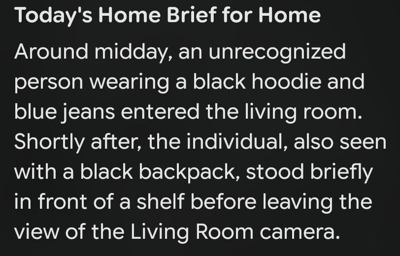Around midday, an unrecognized person wearing a black hoodie and blue jeans entered the living room. Shortly after, the individual, also seen with a black backpack, stood briefly in front of a shelf before leaving the view of the Living Room camera.