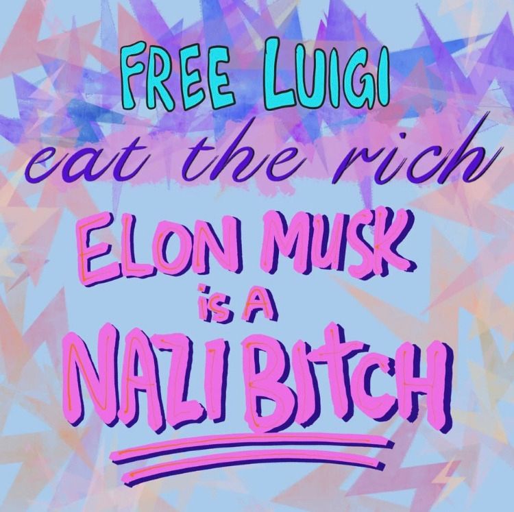 "Free Luigi, eat the rich, Elon Musk is a nazi bitch" in pink, purple and light blue lettering in a light blue background
