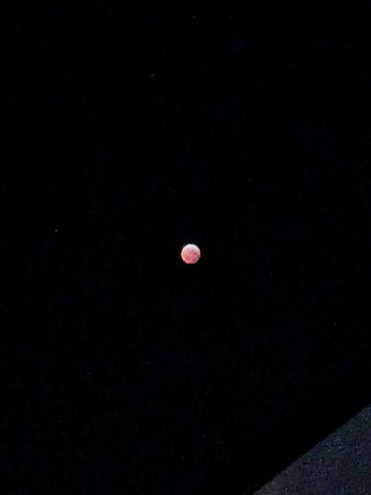 Photo of the Blood Worm Moon eclipse 