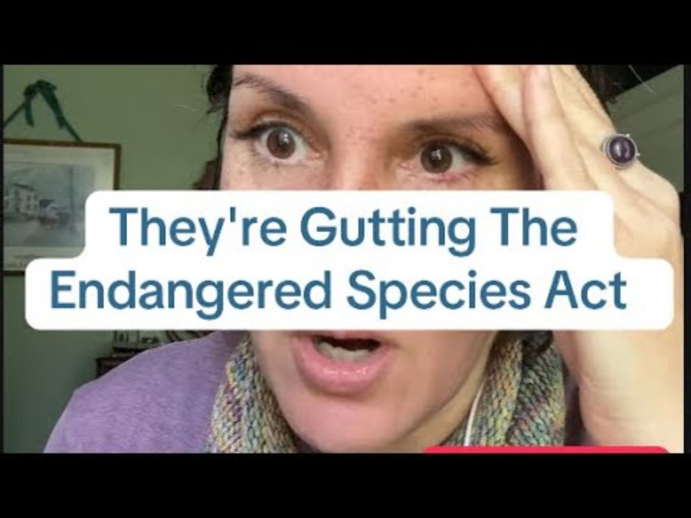 They're Gutting The Endangered Species Act: What You Need to Know