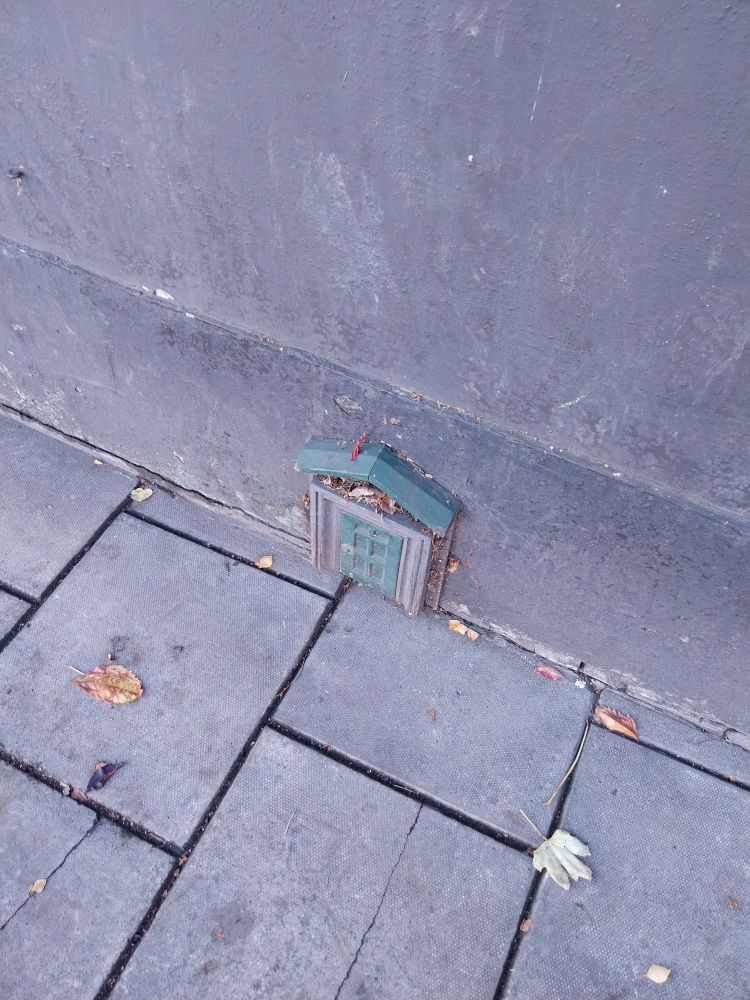 Tiny door on a building wall.