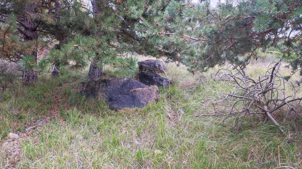 Bloc erratique autour du lac de Serre Ponçon