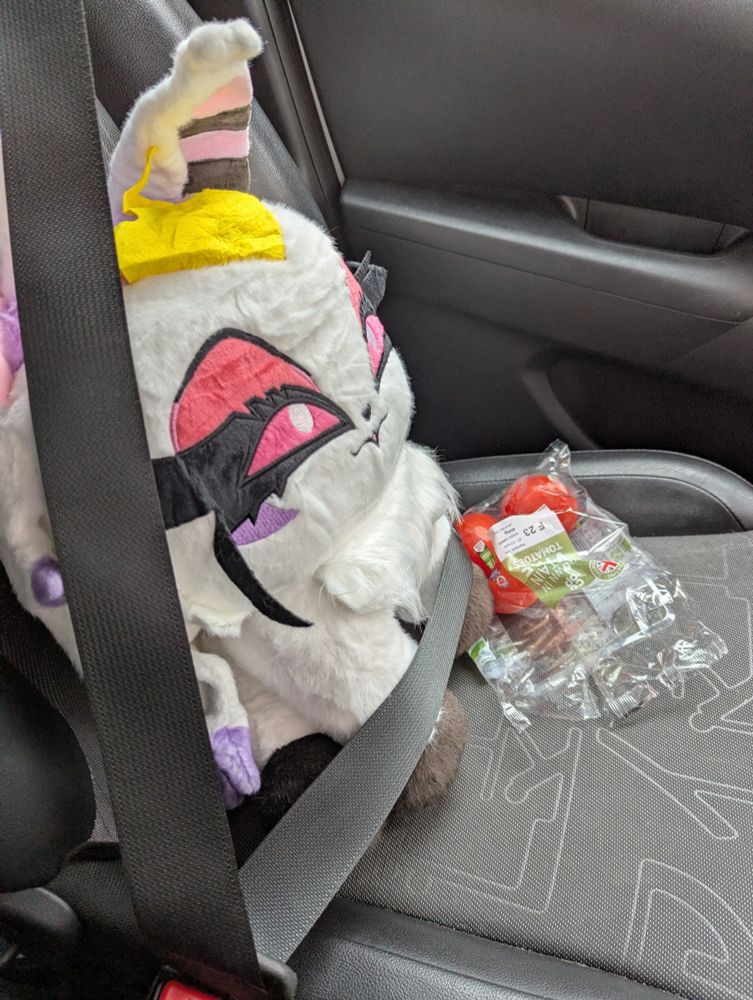 Big white cat plushie sitting in passenger seat of a car. Her seatbelt is on, safety first and there is half a pack of sun ripened on the vine tomatoes in front of her. 