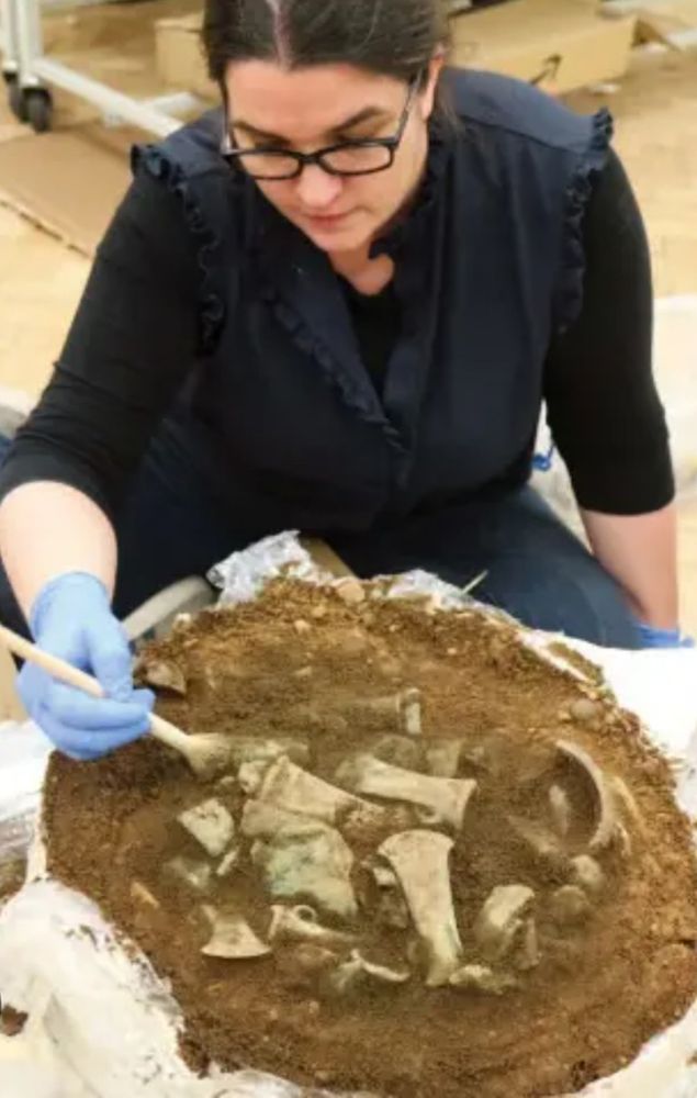 Pieta Greaves excavating the Havering Hoard from block 