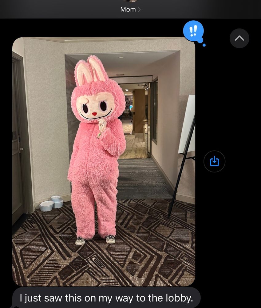 A text from my mom that says “I just saw this on my way to the lobby.” and it’s a photo of someone in a pink labubu fursuit in a hotel hallway 