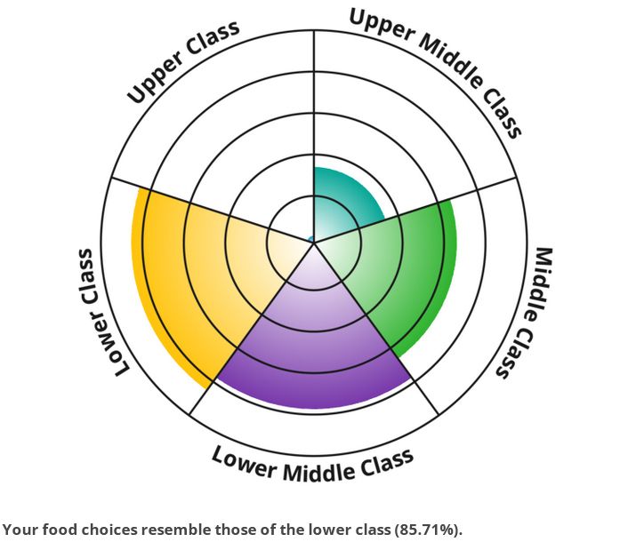 Circle Chart with concentric rings,  divided in pieces called Uppper Class, Upper Middle Class, Middle Class, Lower Middle Class, and Lower Class.

Lower Class has the highest spike, then Lower Middle Class to Upper Middle Class, Upper Class is practically empty.