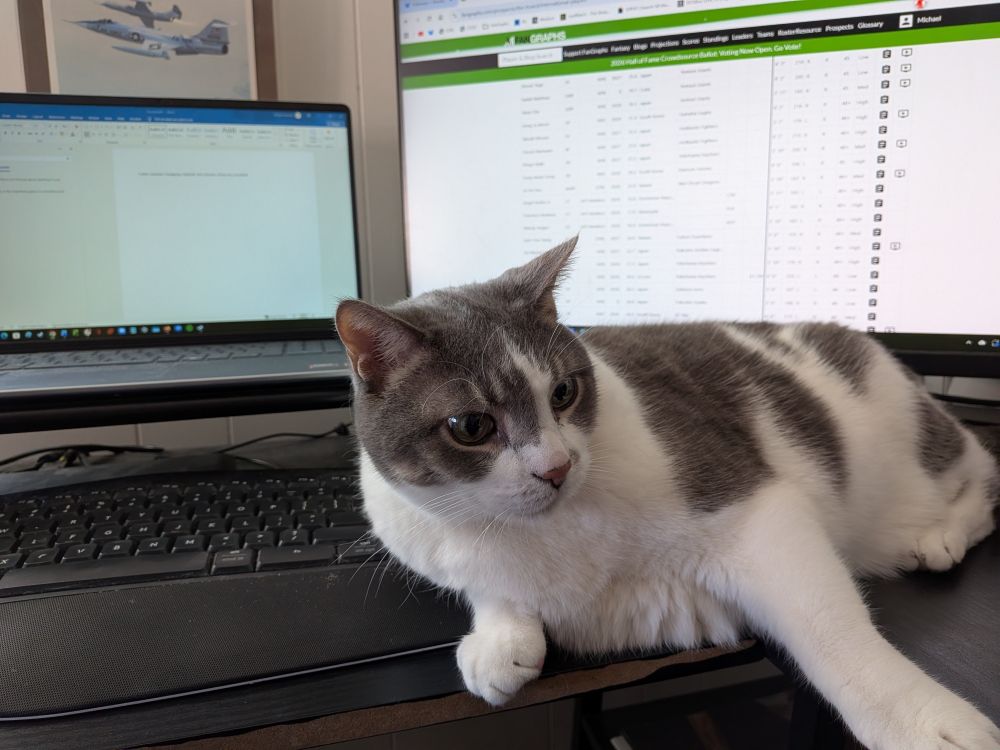 Big white and gray cat leaning on computer keyboard in front of two open monitors