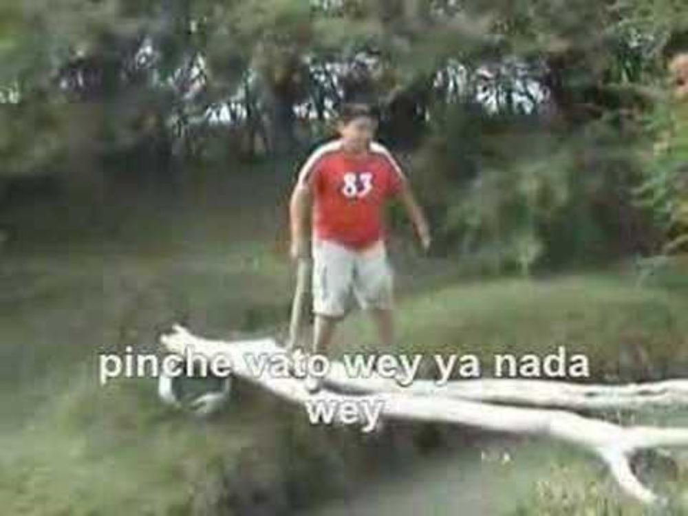La caida de Edgar Subtitulos