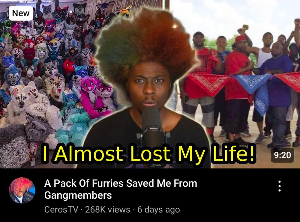 YouTube video titled "A Pack Of Furries Saved Me From Gangmembers"