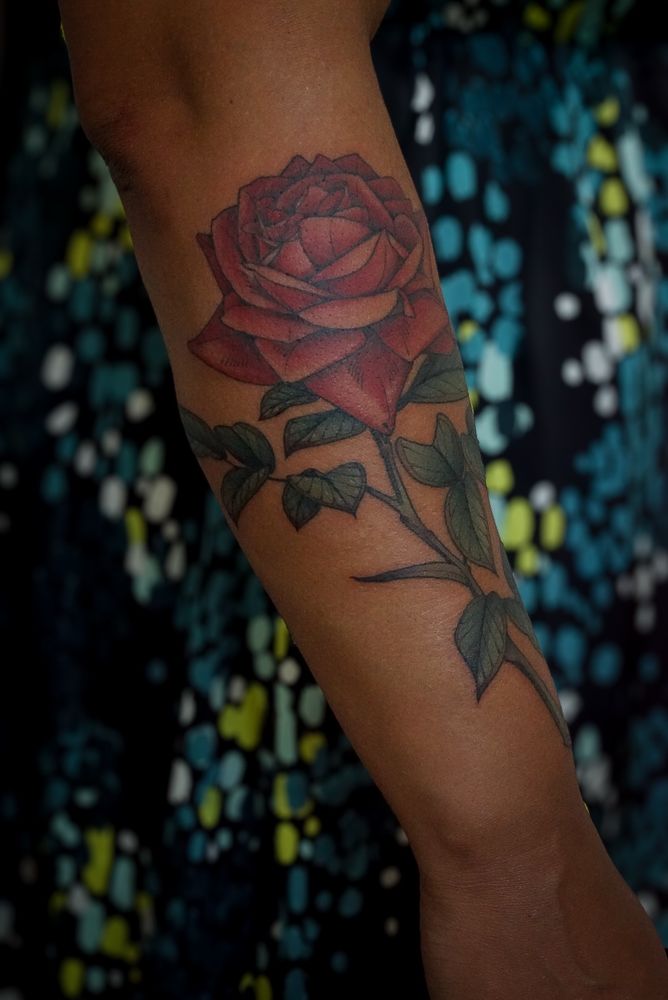 A tattoo of a red rose on a long stem with green foliage on a forearm with medium skin tone