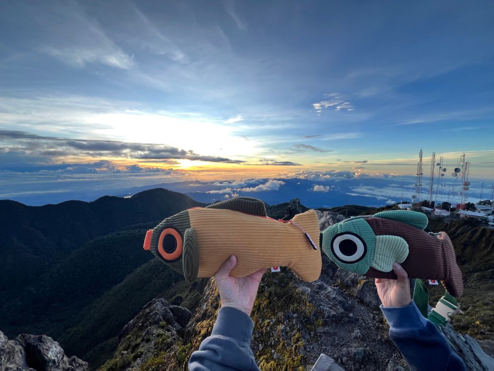 A mountainous landscape during sunrise in the background, and two fish-shaped bags being held up in the foreground. The first bag, on the left; has a mustard green body with olive green details, and the second bag has a brown body with sage green details