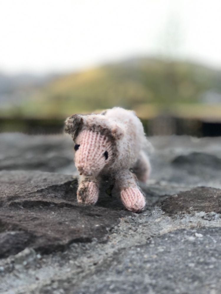 Filthy, knitted sheep soft toy on a stone
