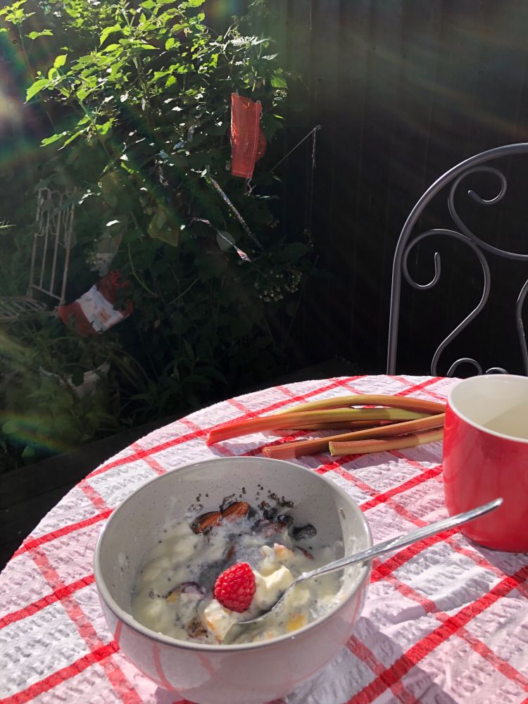 Bowl of yoghurt & nuts with a single raspberry. Also on the table: rhubarb. Behind, raspberry plant with netting bags protecting berries.