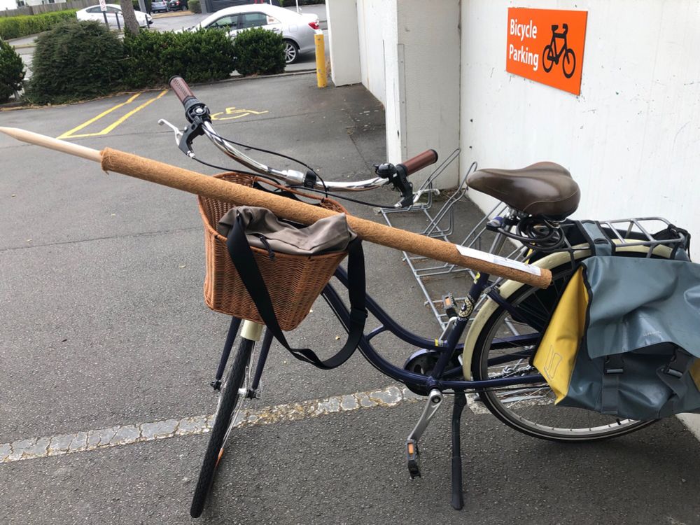 Plant support pole (more that 1m long) rests on the basket of a packed woman’s bicycle.