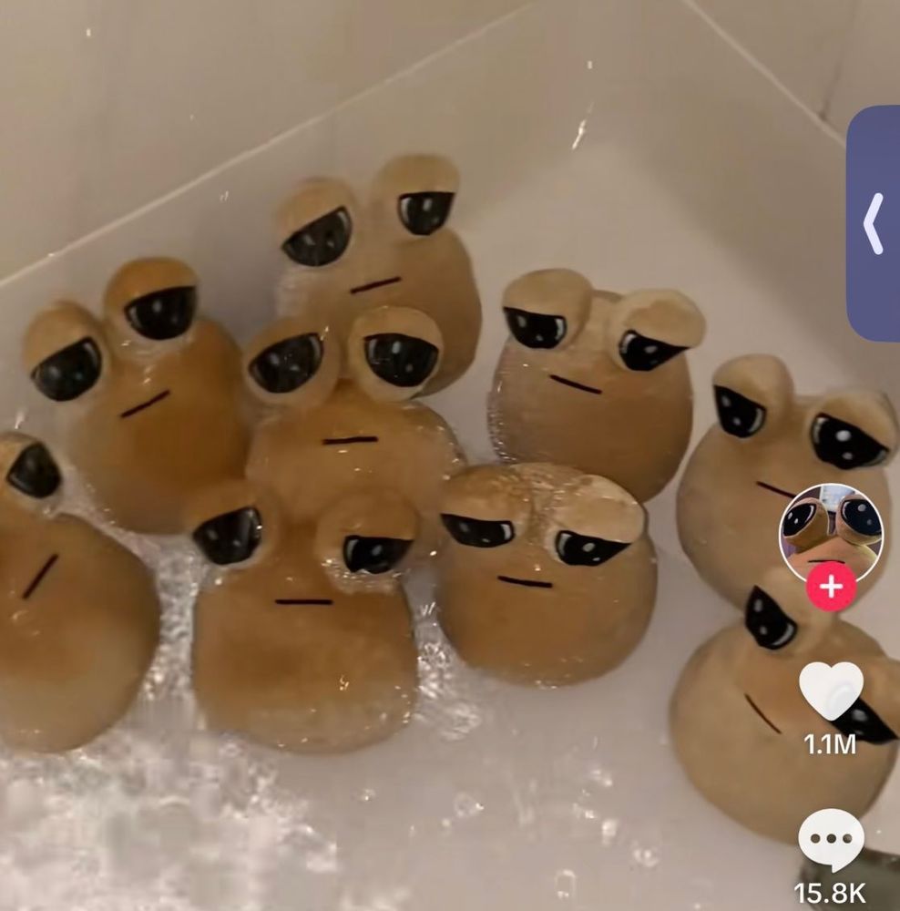 Sad brown plushie blobs (frogs?) in a shower.