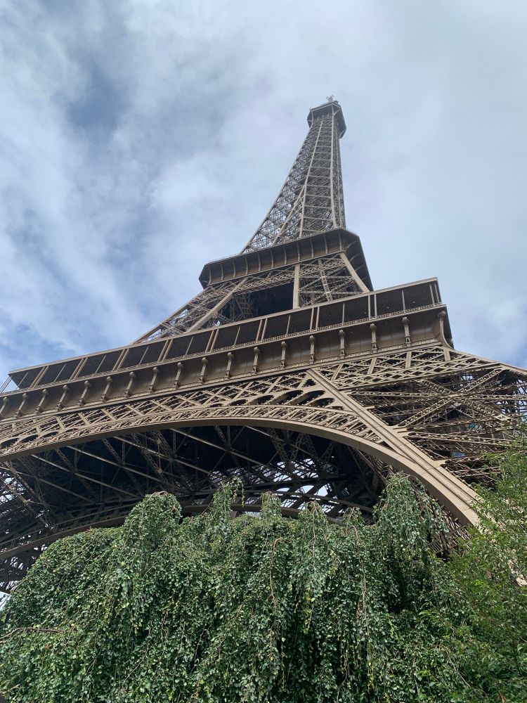 eiffel tower, looking from the bottom