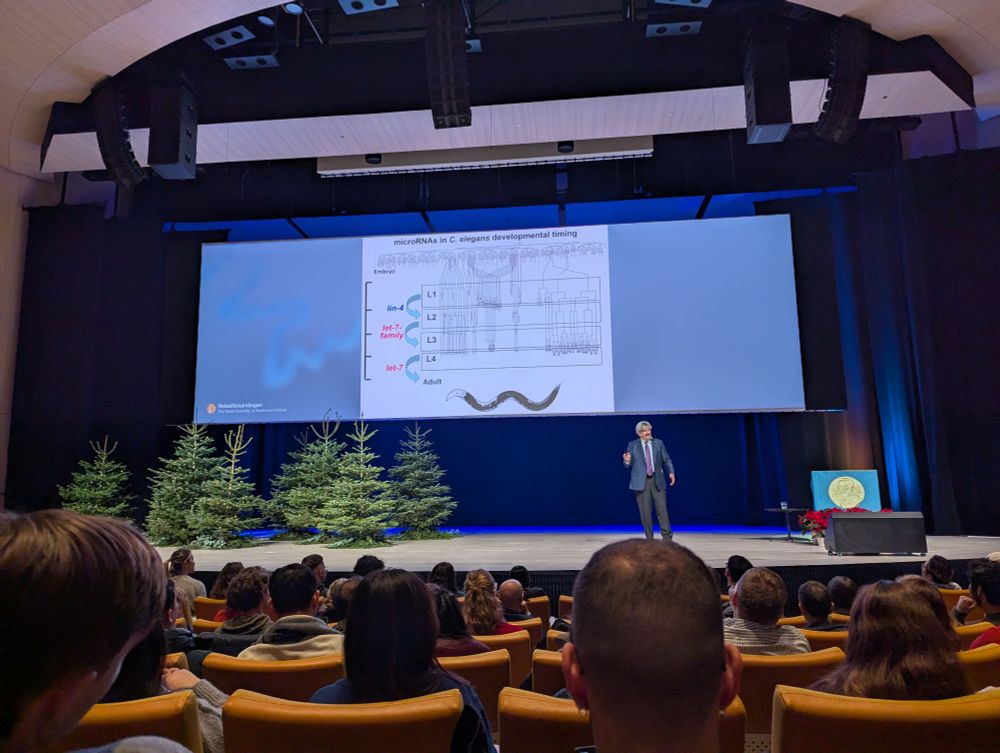 Gary Ruvkun, joint winner of the 2024 Nobel Prize in Physiology or Medicine, giving his Nobel Lecture.
