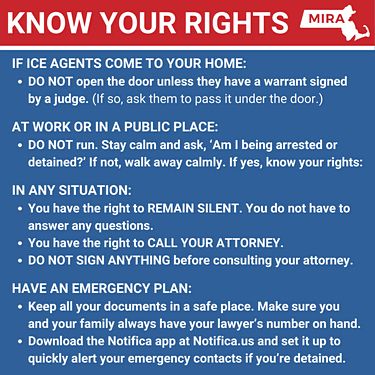 "Know Your Rights" flyer in red, white and blue. Information also available at the web link in this post.