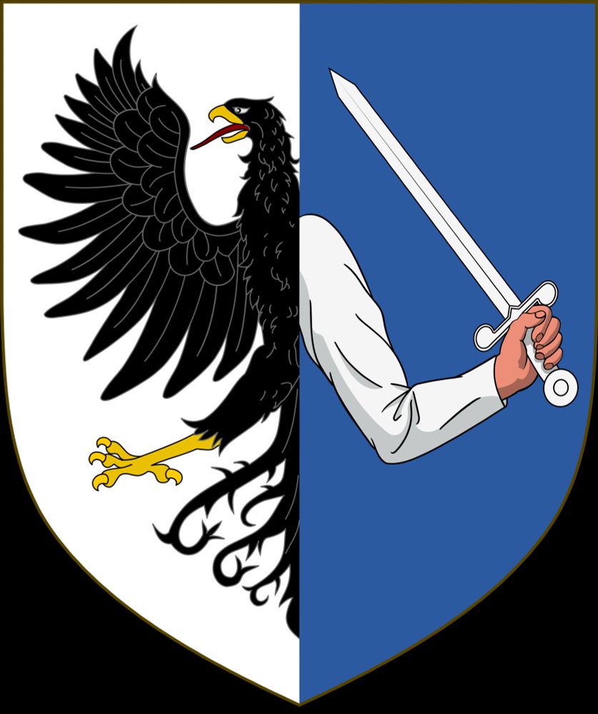 the coat of arms of Connacht, the western province of Ireland. idk about heraldry but the left is a badass looking black bird on white, and the right is a human arm holding a sword on blue