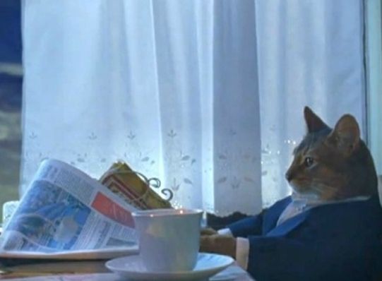 The newspaper reading teacup cat wearing a buttondown shirt and blazer, contemplating life