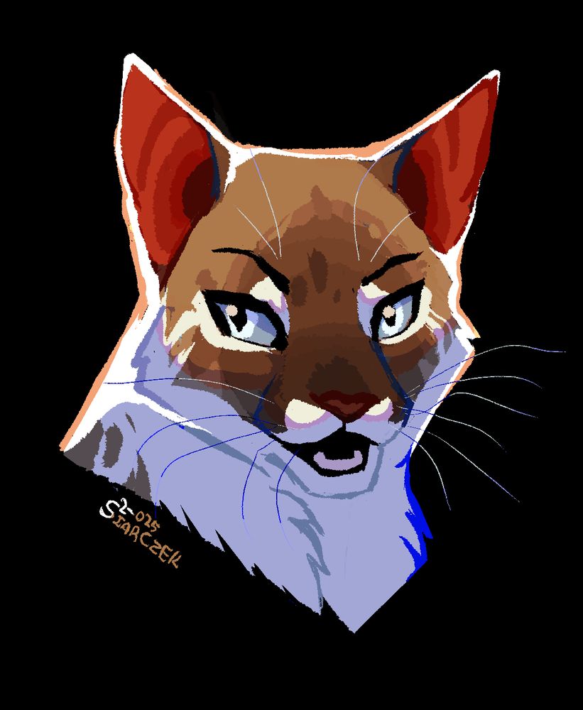 Drawing of a smiling brown and white cat with icy blue eyes.